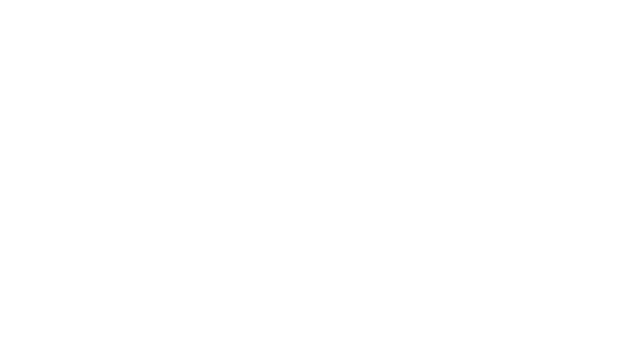 CodeHawk